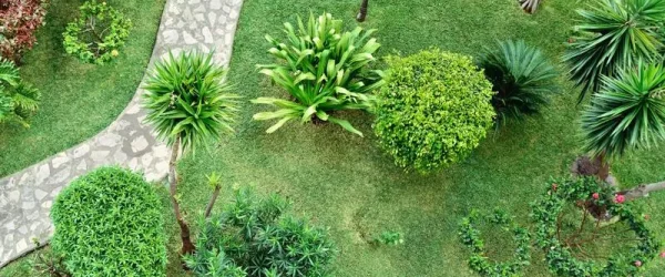 Enhancing Outdoor Spaces: Practical and Aesthetic Uses of Edging Stones